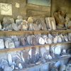Burgio_2009 (483)